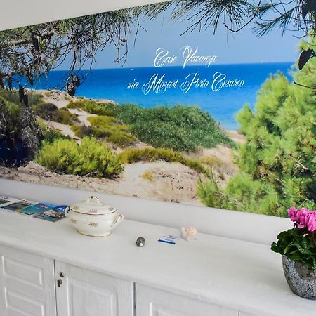 Case Vacanza Via Mozart Porto Cesareo Eksteriør bilde